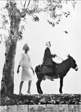Jennifer Hocking by Michael Williams (1962)