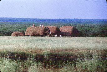 Жак Дюпакье - Минск-Смоленск, Полевые работы в Белоруссии / 1964
