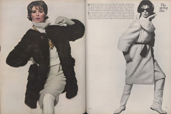 Wilhelmina Cooper by Bert Stern / Vogue USA (1963.10/2)