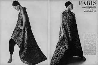Veruschka by Irving Penn (Vogue USA 1964.09/2)