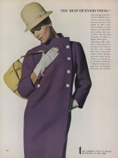 Veruschka by Irving Penn (Vogue USA 1965.02)