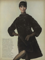Wilhelmina Copper by Horst P. Horst / Vogue USA (1965.10/2)