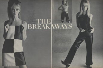 Sue Murray by Irving Penn / Vogue USA (1965.11/2)