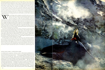 Veruschka by Richard Avedon (Vogue USA 1966.10/2)