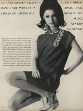 Benedetta Barzini by Irving Penn (Vogue USA 1967.04)