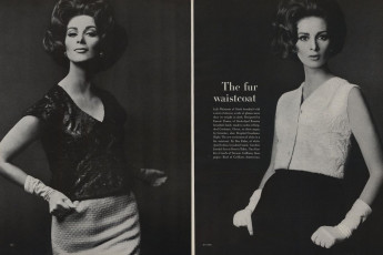 Veruschka, Wilhelmina Cooper by Bert Stern / Vogue USA (1963.04)