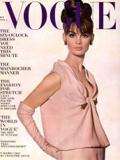Jean Shrimpton by Irving Penn / Vogue USA (1963.11)