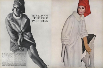 Wilhelmina Cooper by Irving Penn / Vogue USA (1964.08/2)