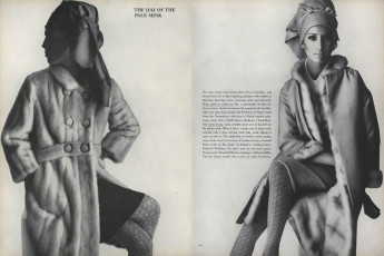 Brigitte Bauer by Irving Penn / Vogue USA (1964.08/2)