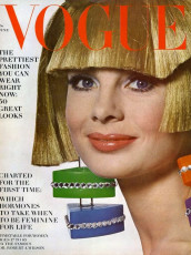 Jean Shrimpton by Irving Penn (Vogue USA 1966.06)