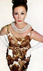 Wilhelmina Cooper by Irving Penn (1963)