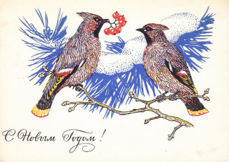 В. Колганов / 1969