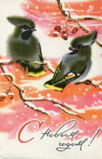 В. Каневский / 1970