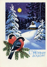 Г. Куртенко / 1977