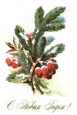 Г. Куртенко / 1977