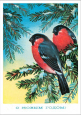 Г. Куртенко, 1977