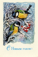 Л. Манилова / 1977