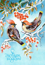 Л. Кулиева / 1979