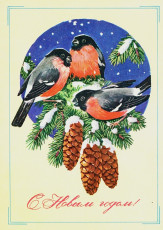 Г. Куртенко / 1979