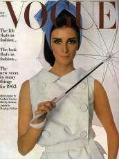 Wilhelmina Cooper by Irving Penn / Vogue USA (1963.01)