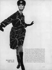 Wilhelmina Cooper by Bert Stern (Vogue USA 1964.02/2)