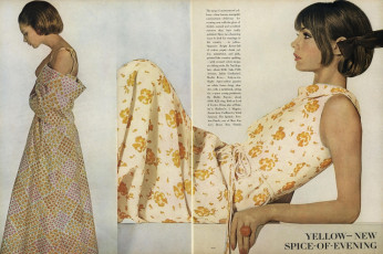 Jean Shrimpton by Irving Penn / Vogue USA (1964)