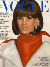 Brigitte Bauer by Irving Penn (Vogue USA 1964.08/2)