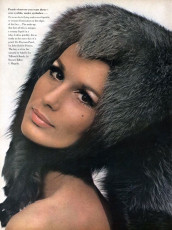Brigitte Bauer by David Bailey, Bert Stern (Vogue USA 1964.09)