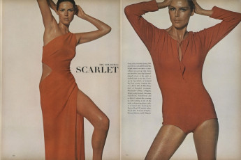 Brigitta af Klerker by Irving Penn / Vogue USA (1964.12)