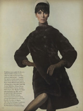Wilhelmina Copper by Horst P. Horst (Vogue USA 1965.10/2)