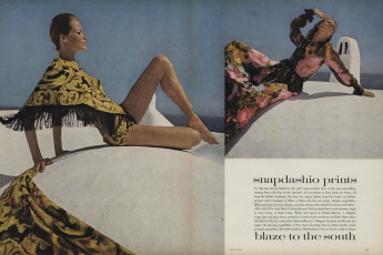 Veruschka by Henry Clarke (Vogue USA 1965.11/2)