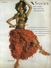 Birgitta af Klercker by Irving Penn (Vogue USA 1966.12)