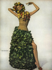 Veruschka by Irving Penn (Vogue USA 1966.12)