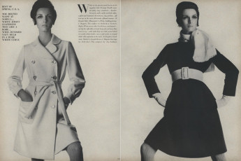 Mirella Petteni by Irving Penn (Vogue USA 1967.02)
