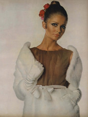 Sue Murray by Irving Penn (Vogue USA 1967.10)