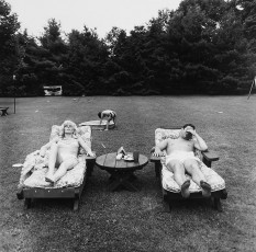 A family on their lawn one Sunday in Westchester by Diane Arbus (1968)