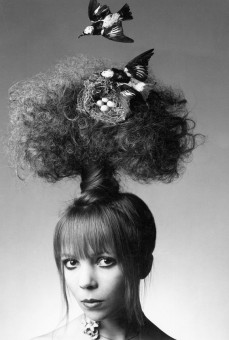 Penelope Tree by Clive Arrowsmith (1970)
