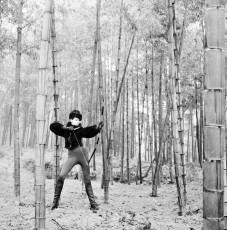 Veruschka by Richard Avedon (1966)