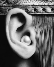 Veruschka by Richard Avedon (1966)