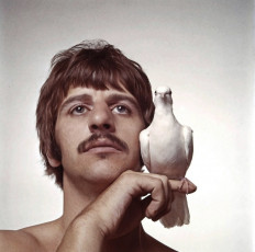 Ringo Starr by Richard Avedon (1967)