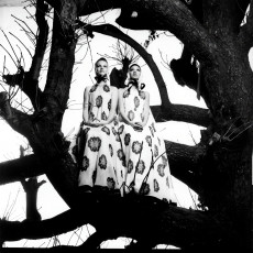 Jean Shrimpton, Marisa Berenson by Richard Avedon (1966)