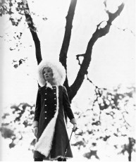 Penelope Tree by David Bailey (1968)