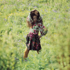 Penelope Tree by David Bailey (1968)