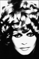 Brigitte Bardot by David Bailey (1967)