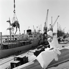 Jill Kennington by Gian Paolo Barbieri (1974)