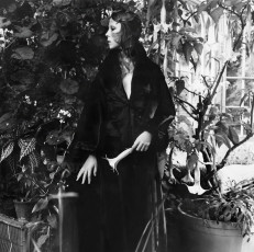 Penelope Tree by Cecil Beaton (1970)