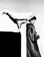 Simone d'Aillencourt by Guy Bourdin (1962)