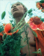 Donyale Luna by Luigi Cazzaniga (1972)