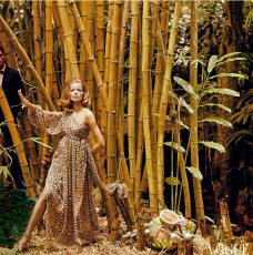 Veruschka by Henry Clarke (1965)