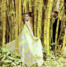 Veruschka by Henry Clarke (1965)